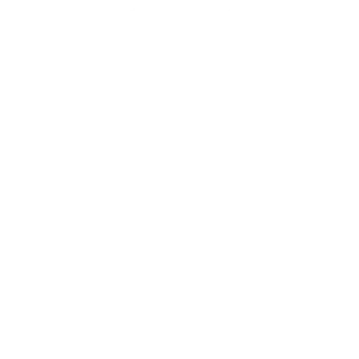 Sustainable Growth