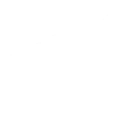 Vision-Led Development